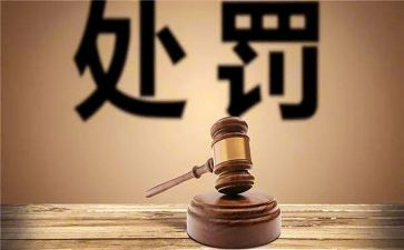 处分申请书精选8篇