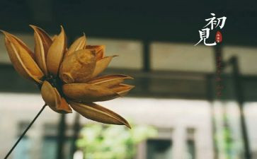 人生若只如初见作文5篇(初见，人生初见)