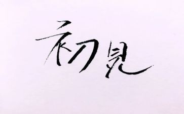 人生若只如初见作文优秀5篇(初见，人生如初见)