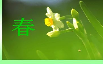励志青春演讲稿5篇(1. 鼓舞人心的青春演讲：5篇精彩励志演讲稿
2. 振奋心灵的5篇励志青春演讲
3. 点燃激情的5篇青春励志演讲
4. 激发潜能的5篇励志青春演讲
5. 青春梦想的5篇励志演讲稿)