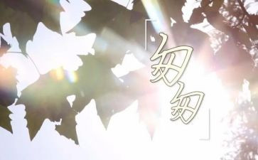 读《匆匆》有感 7篇(《匆匆》：时光流转，心灵留痕)