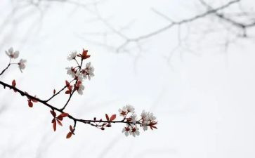 《匆匆》读后感优秀5篇(《匆匆》：五篇读后感，感动匆匆岁月)
