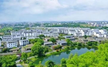村务述职报告8篇