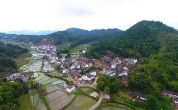 村重点工作计划精选5篇