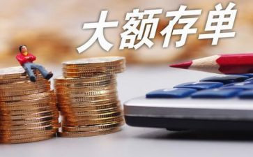 2024存款保险宣传活动总结模板6篇