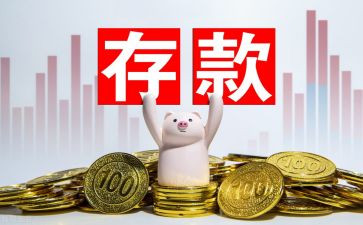 2024年存款保险活动总结参考8篇