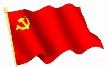 党主题活动心得体会通用7篇
