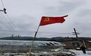 2024年社区党员转正申请书5篇