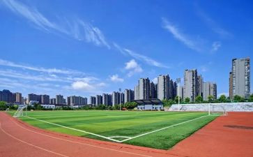 关于大学心得体会5篇