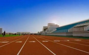 大专毕业生自我鉴定300字优质5篇(