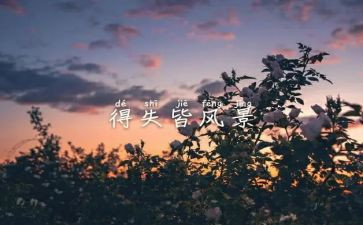 网课的得与失作文精选5篇