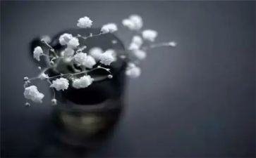 网课的得与失作文参考7篇