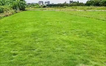 旧厂房土地租赁合同6篇
