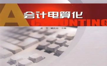 会计电算化工作总结6篇