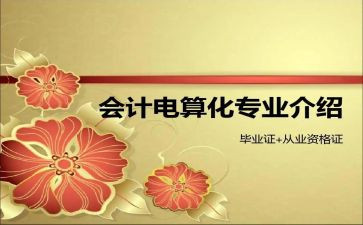 电算化会计心得体会8篇