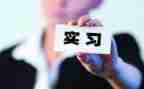 顶岗实习工作总结4篇