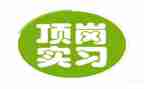 顶岗实习总结模板7篇