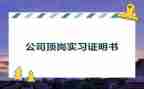 顶岗实习工作总结通用5篇