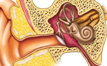 爱耳日活动方案最新5篇(耳朵的守护者:爱耳日活动方案精选)