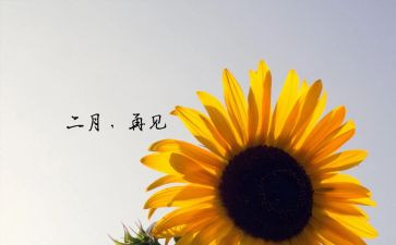 二月份工作总结优秀6篇