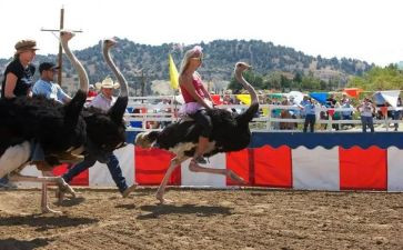 大班发明教案7篇