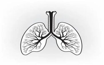支原体肺炎是新冠变异？(
