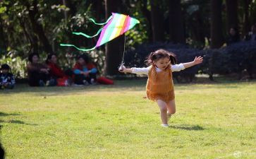 扎风筝活动方案策划8篇