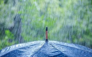 暴风雨作文7篇(狂风暴雨下的七篇佳作)