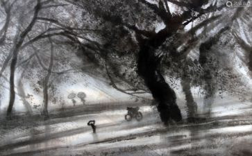 风雨数的歌读后感6篇