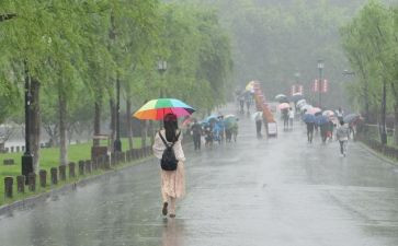 东风雨观后感500字8篇