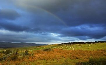 东风雨观后感推荐6篇