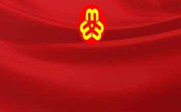 妇联工作总结6篇(妇联工作总结：光辉岁月，铸就辉煌)