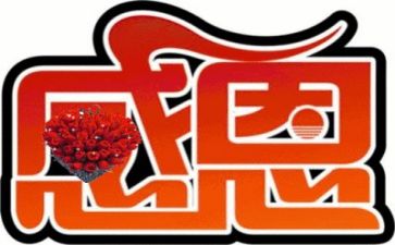 知感恩作文800字优秀7篇