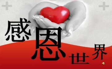 谈感恩的演讲稿800字5篇