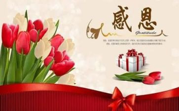 感恩节感想作文8篇(感恩节感想：八篇心灵之旅)