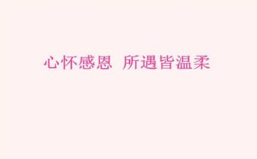 谈感恩的演讲稿800字优秀7篇