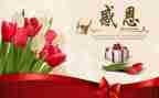 感恩之心600字作文5篇