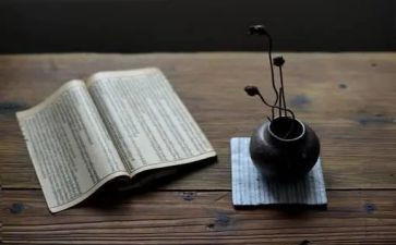 幼儿教师读纲要心得体会8篇