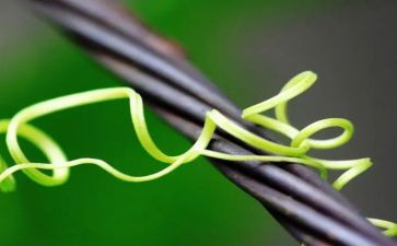 刚与柔的关系作文推荐8篇