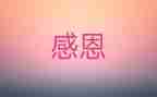 我很感激你作文7篇