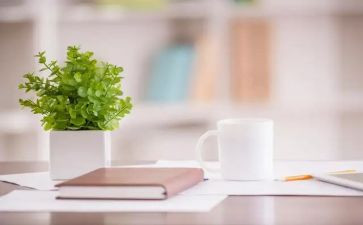 幼儿园小班爱干净教案7篇