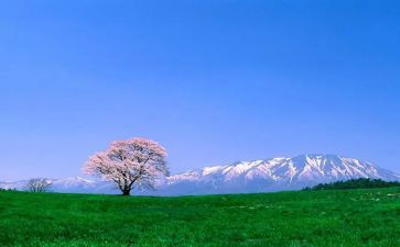 感念师恩演讲稿5篇(师恩如山，感念永存)