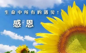 感谢有你作文通用8篇(感恩有你，文辑八篇)