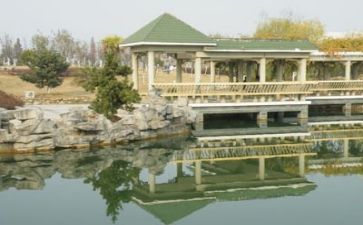 高校教师的工作总结参考5篇(高校教师工作总结：5篇优质参考)