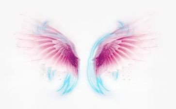 一双翅膀的作文通用5篇