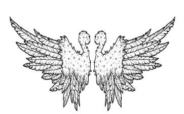 翅膀读后感最新5篇