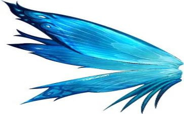 一双翅膀的作文模板5篇