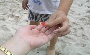 给予爱作文600字6篇