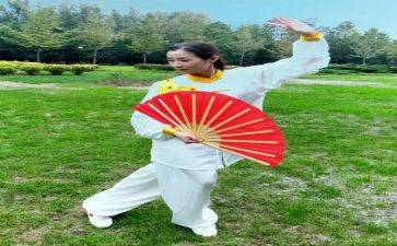 学功夫扇作文优秀6篇