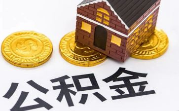 公积金个人总结5篇